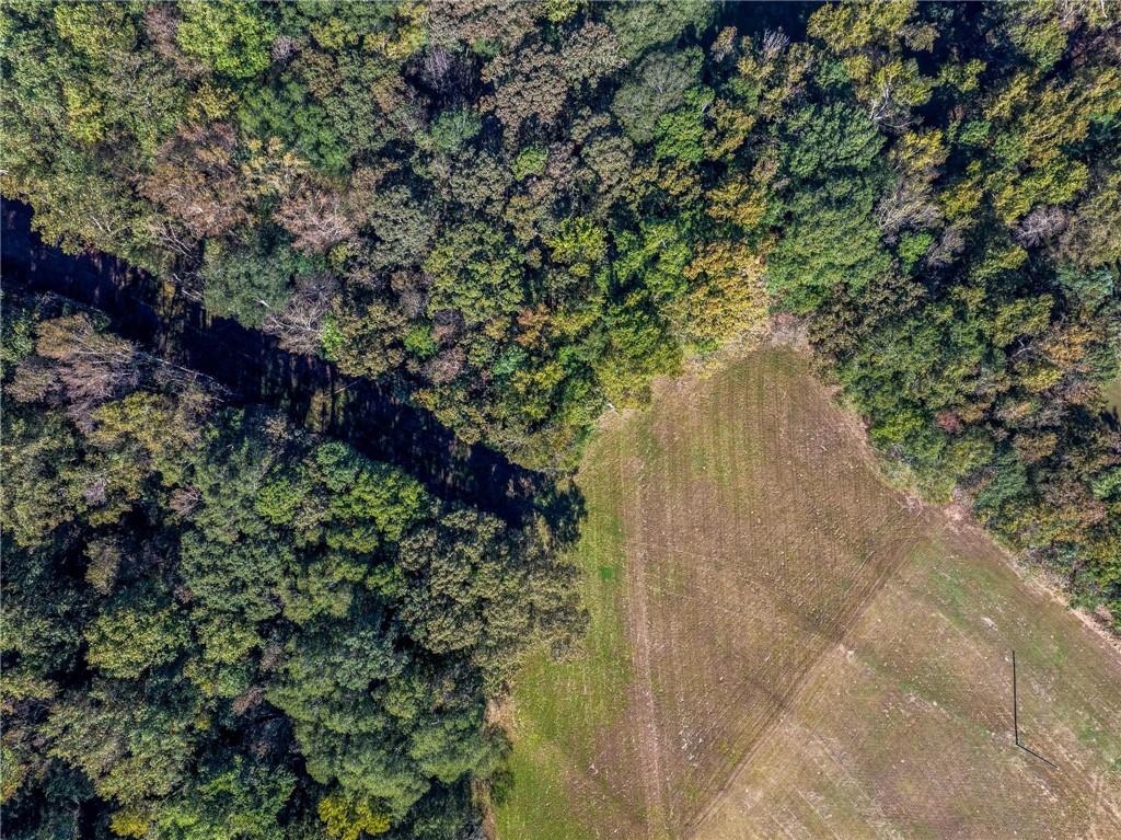 1736 Airline School Road Bowersville, GA 30516 - Photo 23 of 33 a view of a garden with plants