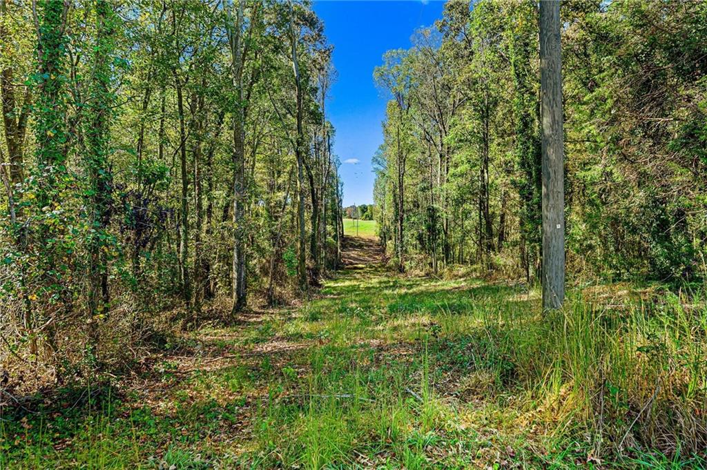 1736 Airline School Road Bowersville, GA 30516 - Photo 25 of 33 a view of a garden