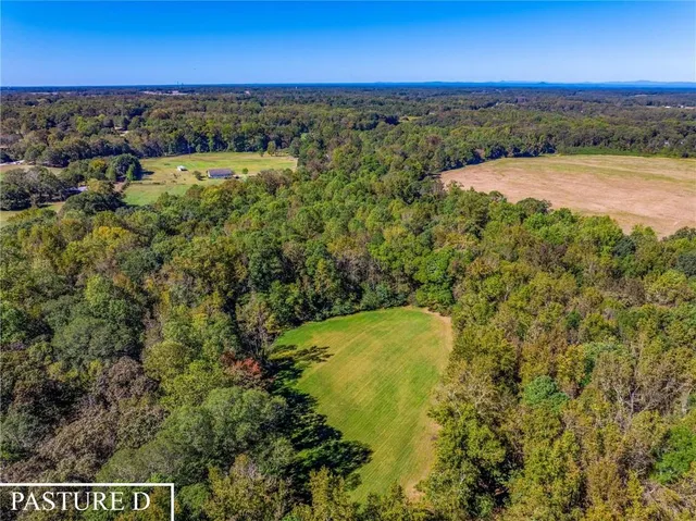 a view of a field with an tree