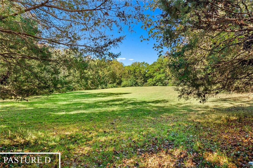 1736 Airline School Road Bowersville, GA 30516 - Photo 27 of 33 a view of a field with an tree