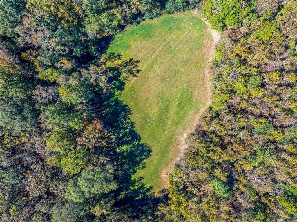 1736 Airline School Road Bowersville, GA 30516 - Photo 29 of 33 a view of a garden