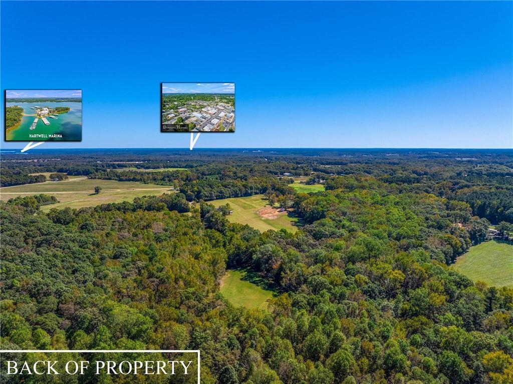 1736 Airline School Road Bowersville, GA 30516 - Photo 30 of 33 a view of residential houses with outdoor space and garden
