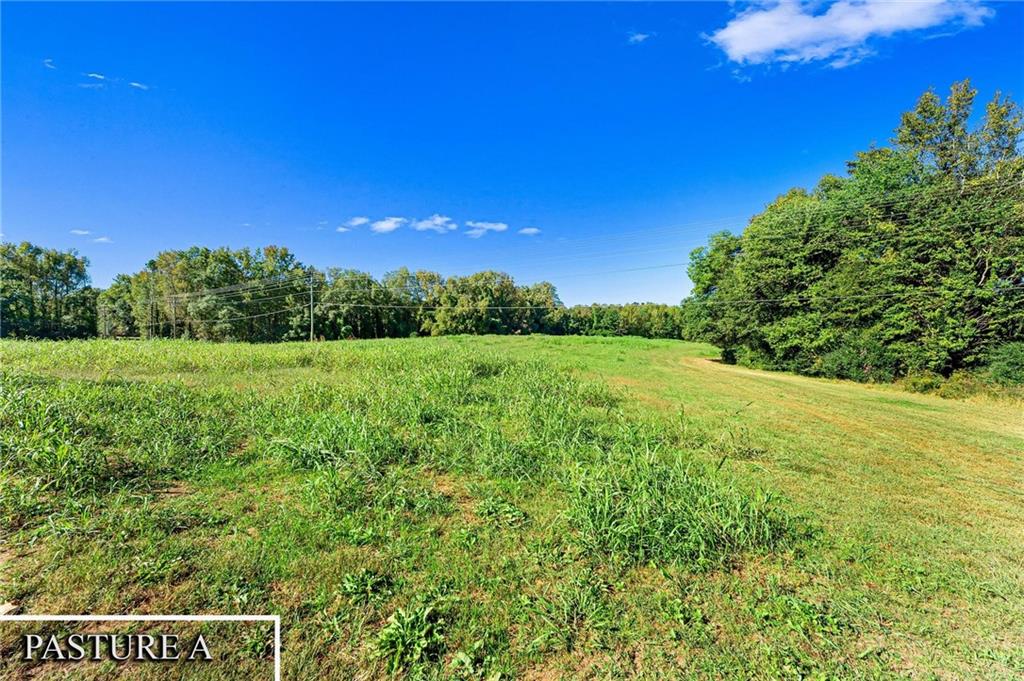1736 Airline School Road Bowersville, GA 30516 - Photo 5 of 33 a view of a lush green space