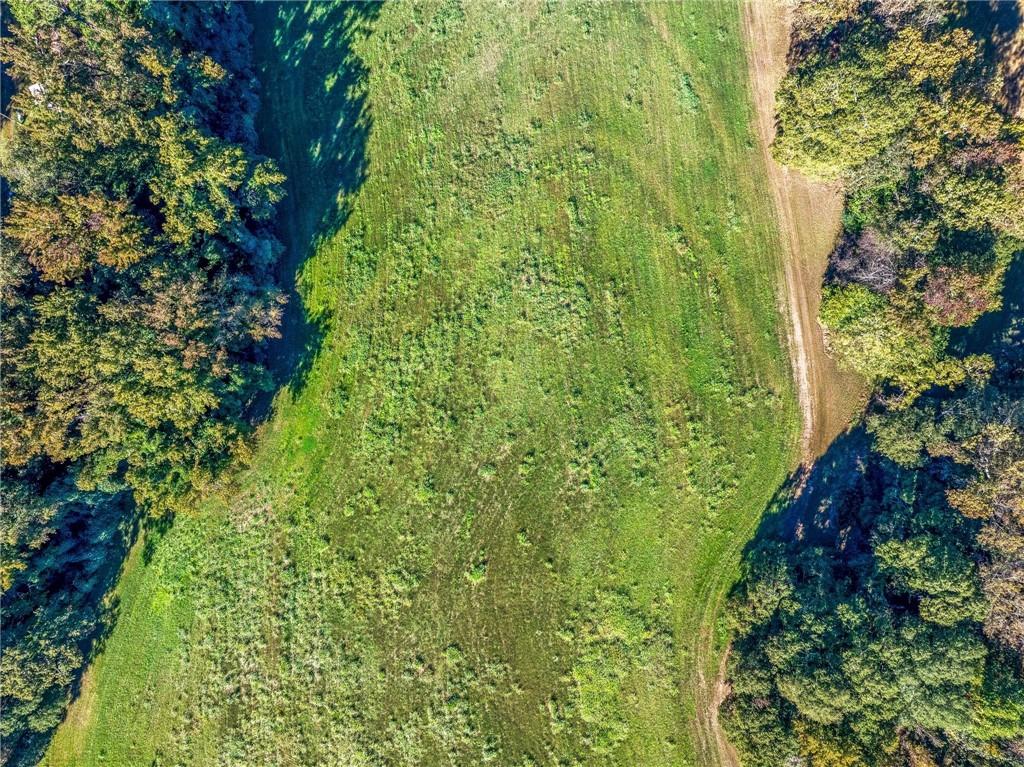 1736 Airline School Road Bowersville, GA 30516 - Photo 7 of 33 a view of a garden