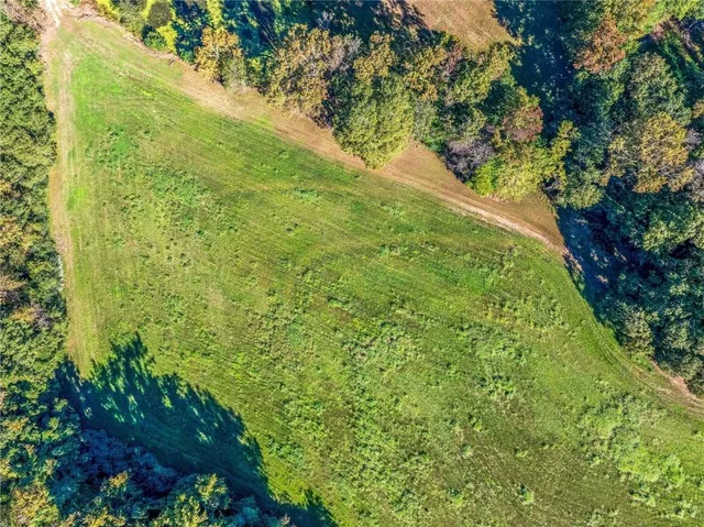 a view of a trees with a yard