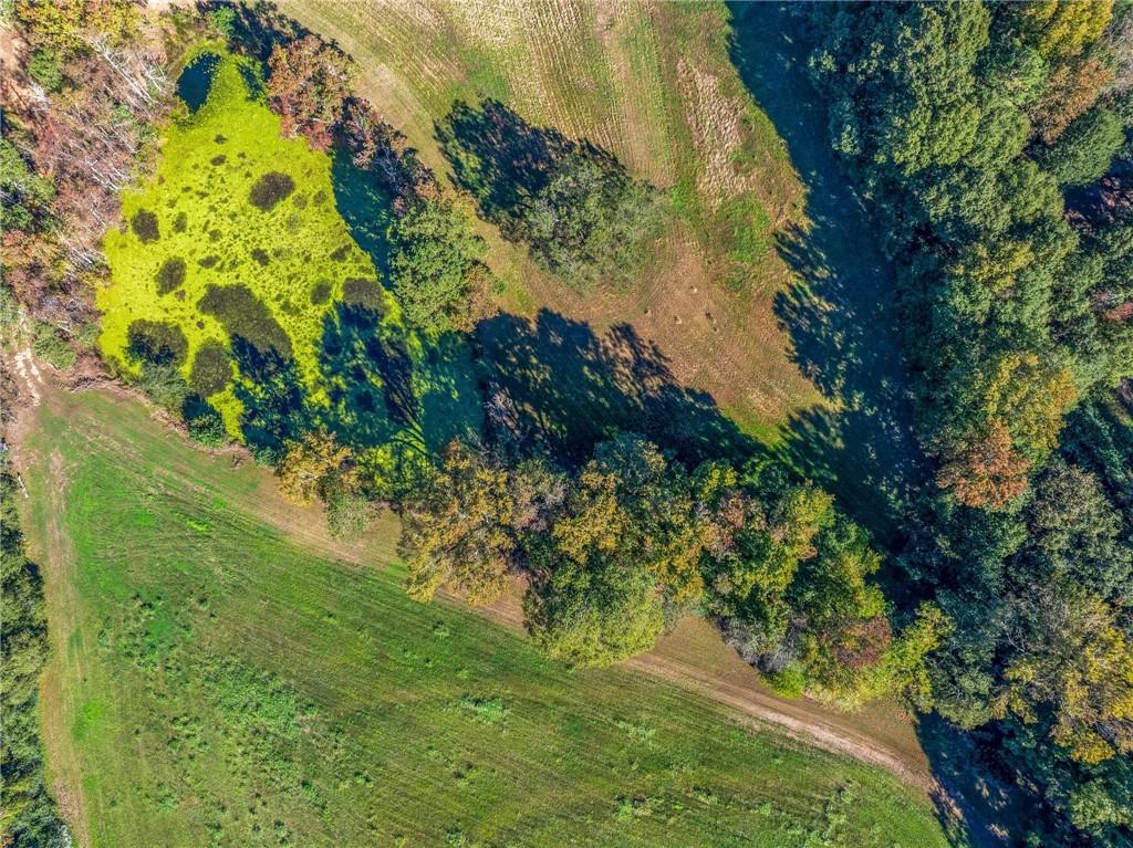 1736 Airline School Road Bowersville, GA 30516 - Photo 9 of 33