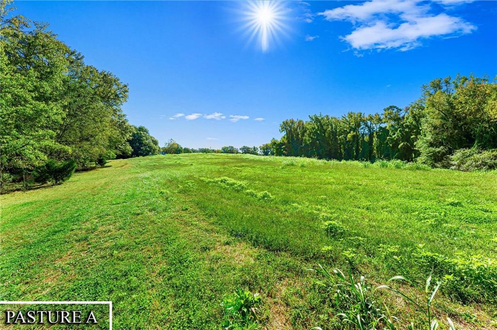 1736 Airline School Road Bowersville, GA 30516 - Photo 10 of 33 a view of a big yard with lots of green space and bushes