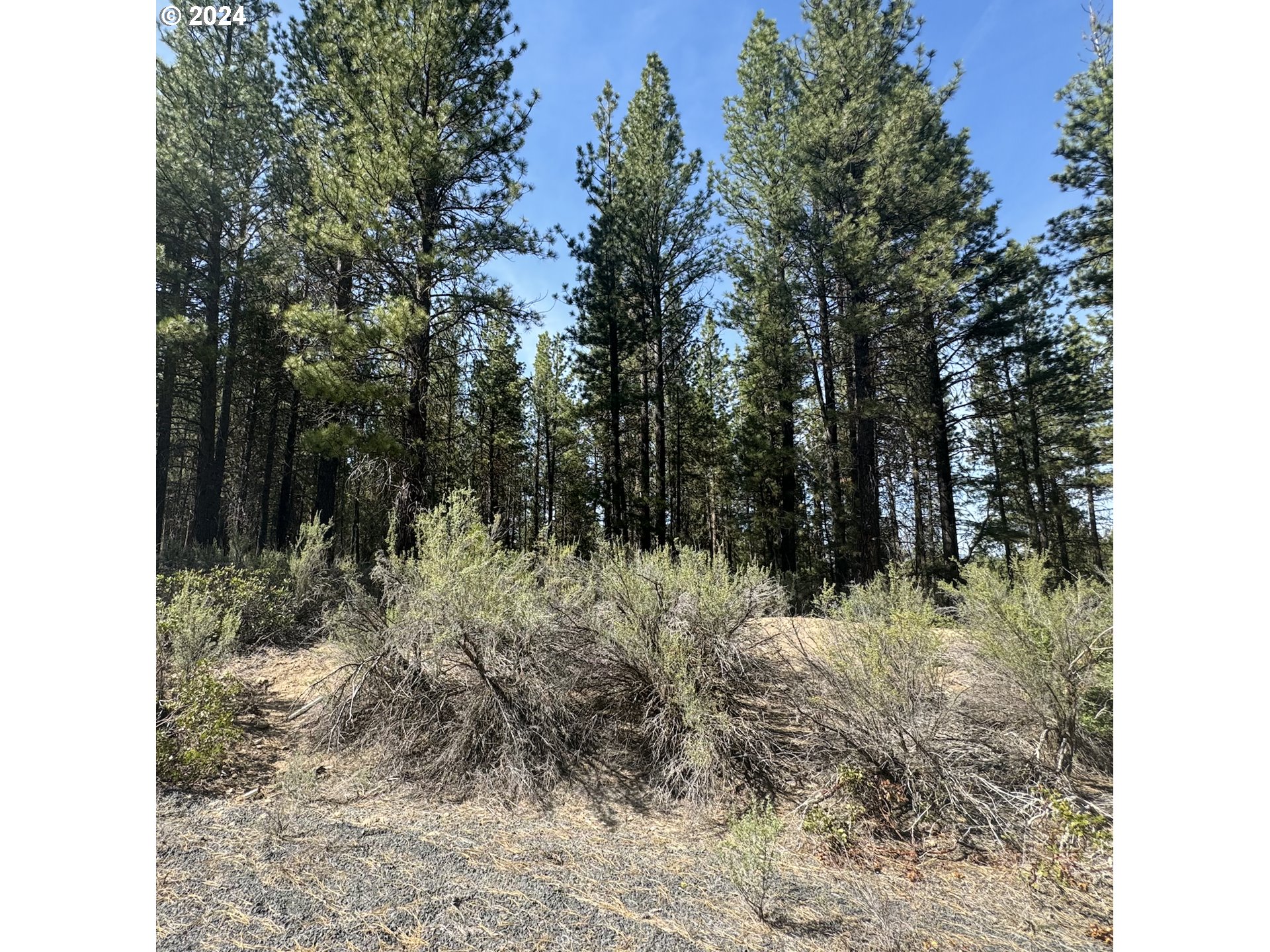 Water View Way, Unit 3 Chiloquin, OR 97624 - Photo 11 of 18 a view of a yard with plants and trees