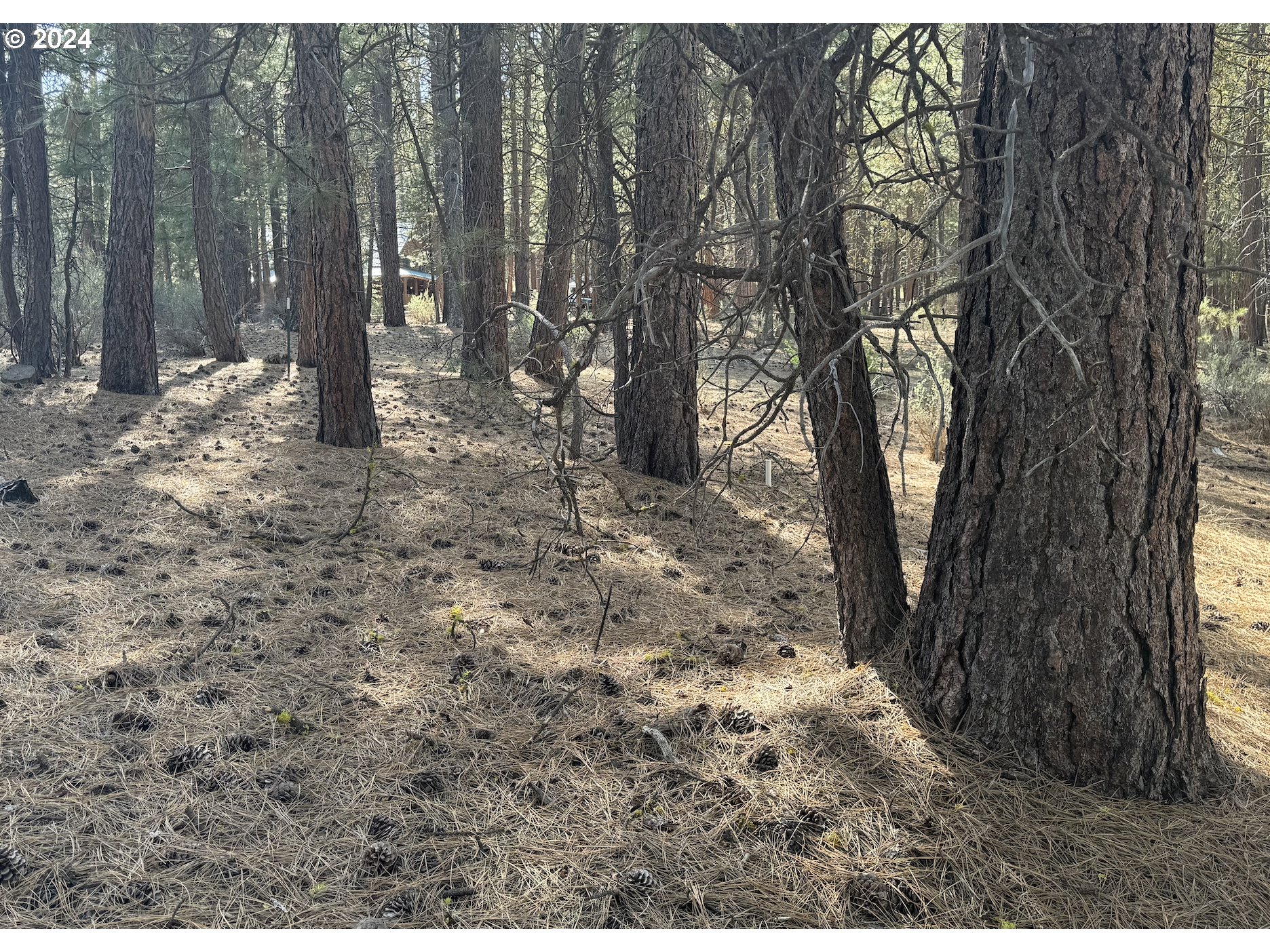 Water View Way, Unit 3 Chiloquin, OR 97624 - Photo 12 of 18 a backyard of a house with lots of green space