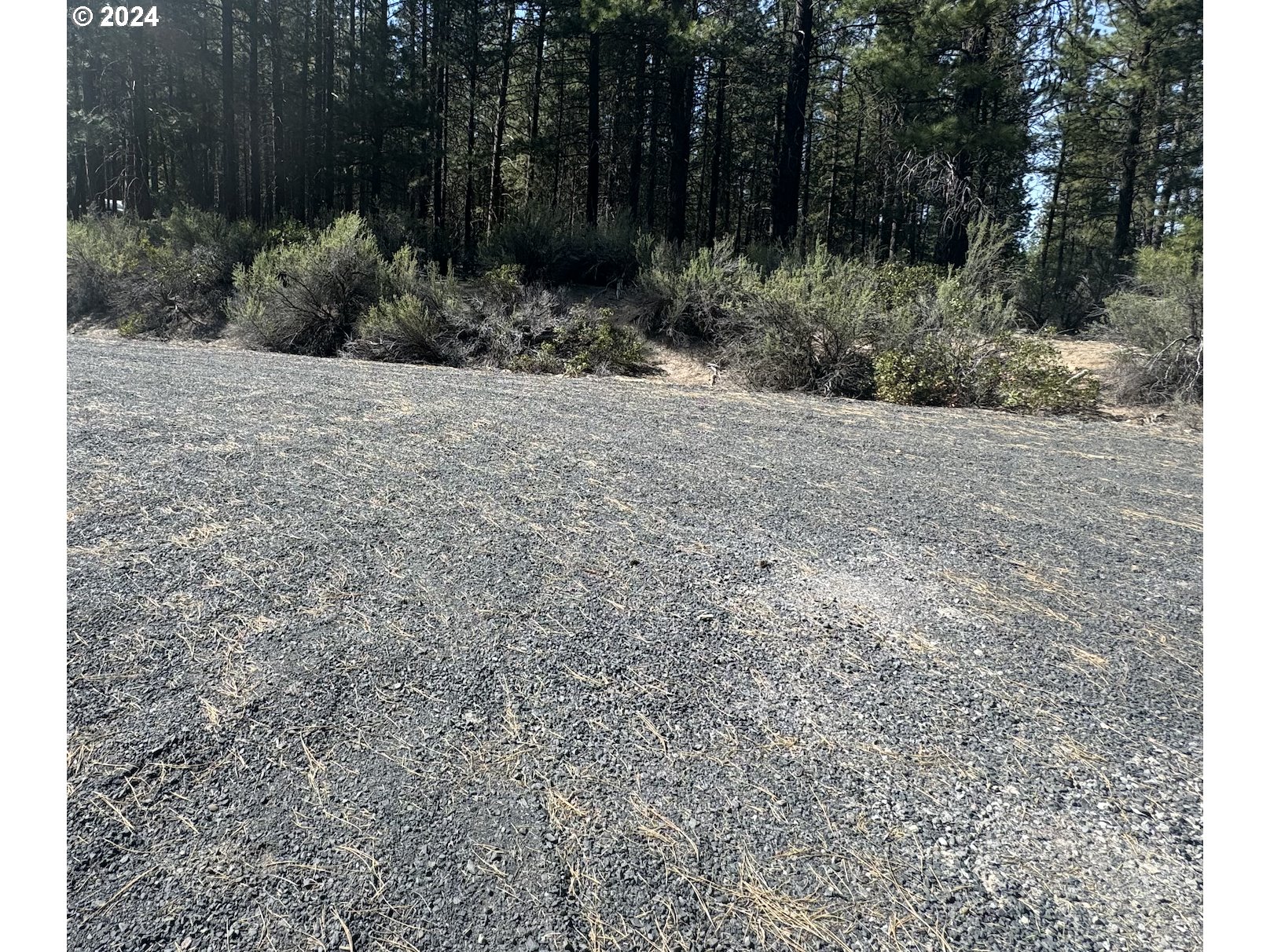 Water View Way, Unit 3 Chiloquin, OR 97624 - Photo 17 of 18 a view of a yard with plants and trees