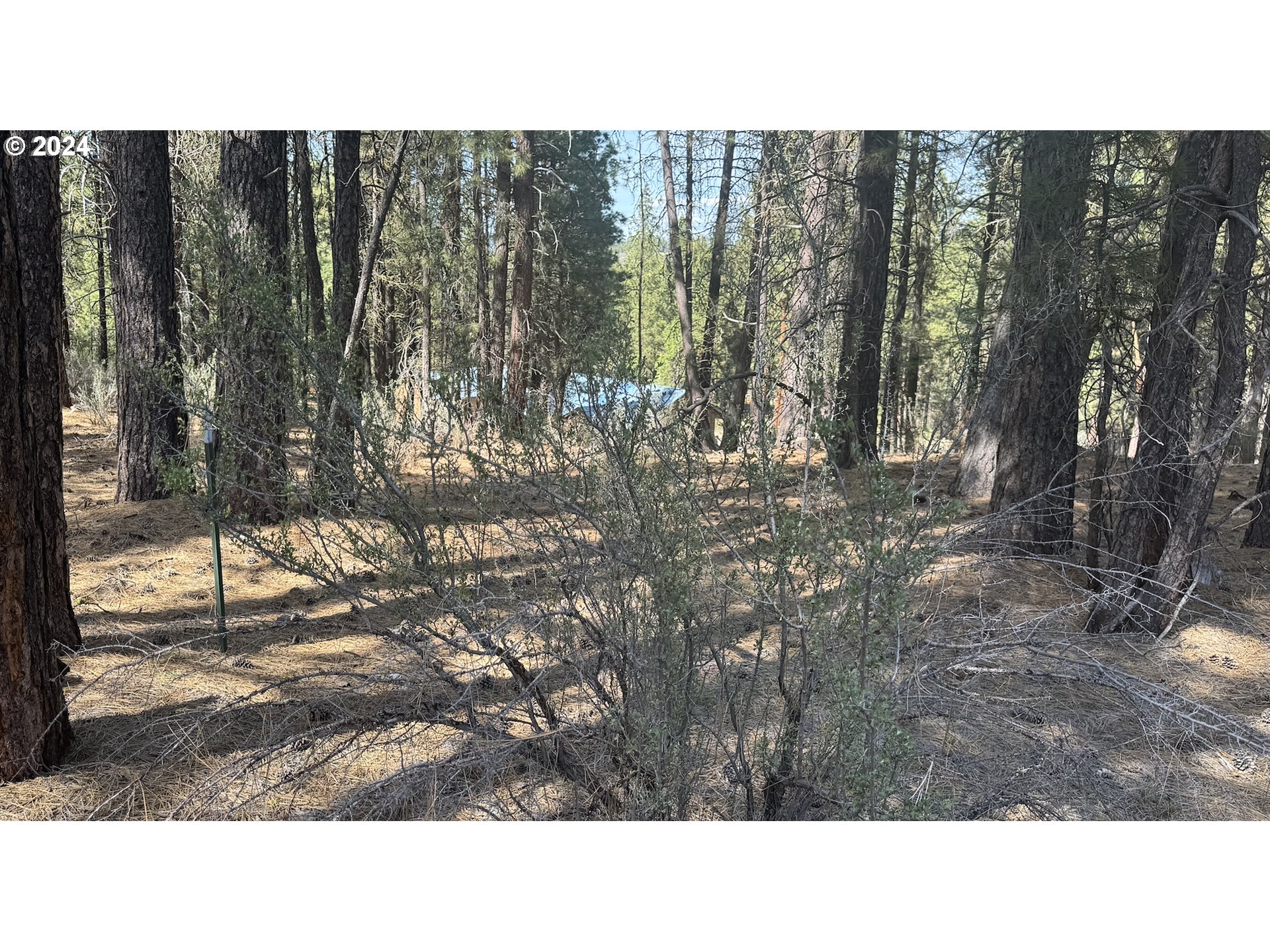 Water View Way, Unit 3 Chiloquin, OR 97624 - Photo 3 of 18 a black and white photo of a house