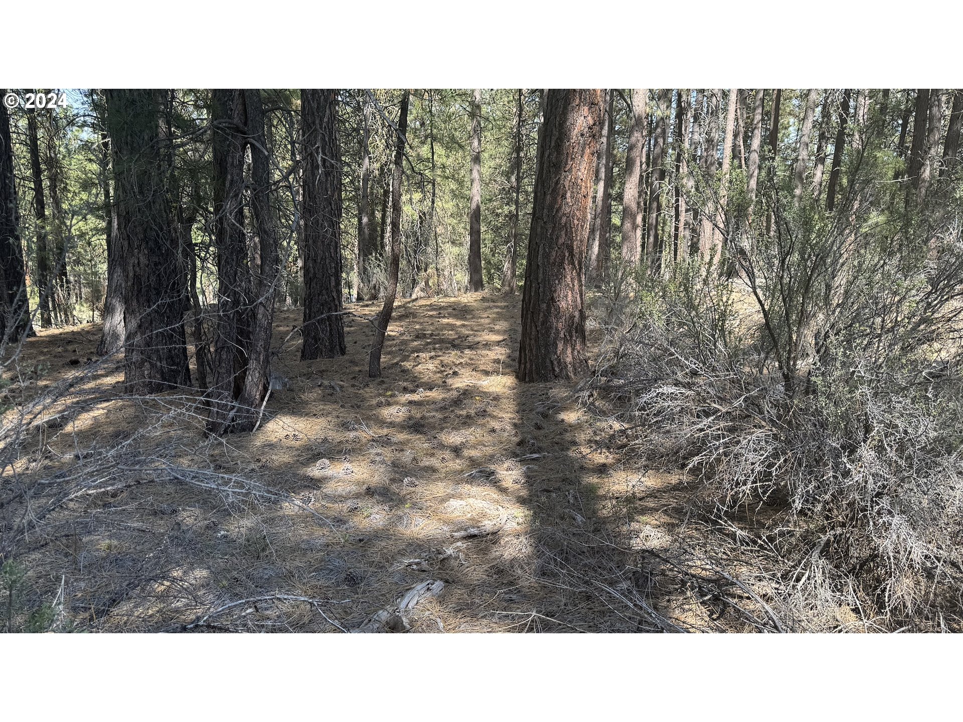 Water View Way, Unit 3 Chiloquin, OR 97624 - Photo 4 of 18 a black and white photo of a house