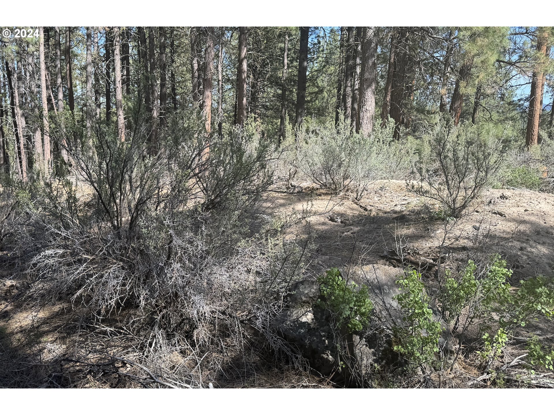 Water View Way, Unit 3 Chiloquin, OR 97624 - Photo 5 of 18