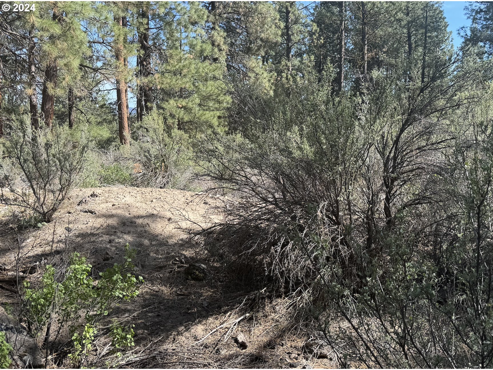 Water View Way, Unit 3 Chiloquin, OR 97624 - Photo 6 of 18 a view of outside area