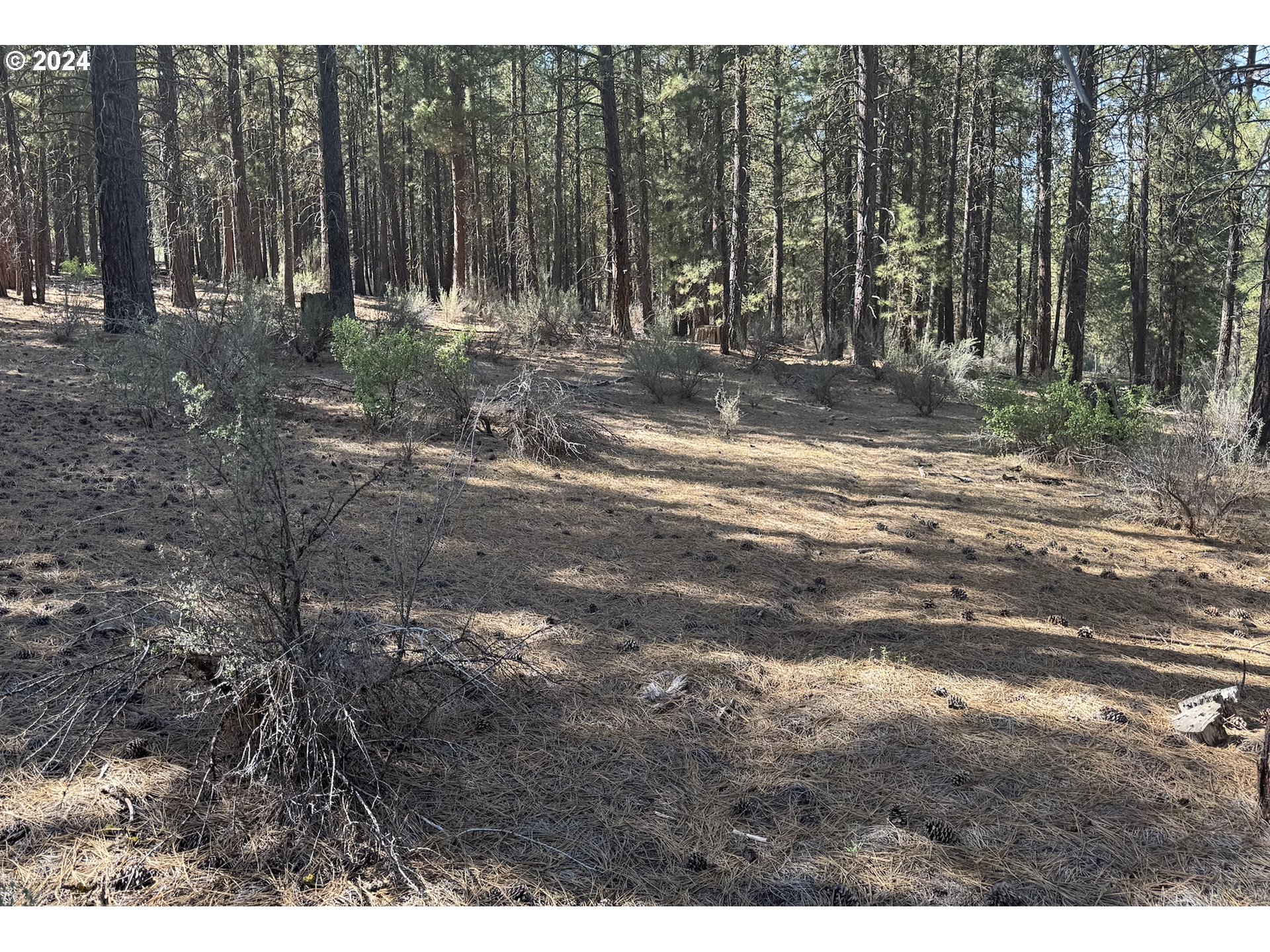 Water View Way, Unit 3 Chiloquin, OR 97624 - Photo 10 of 18 a view of outdoor space with trees