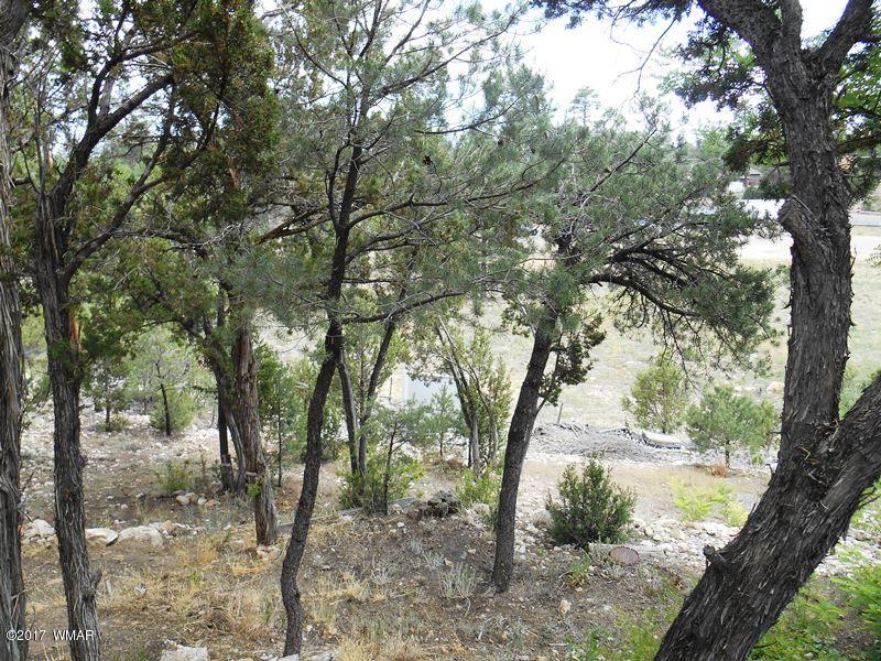 3431 Top View Road Overgaard, AZ 85933 - Photo 14 of 17