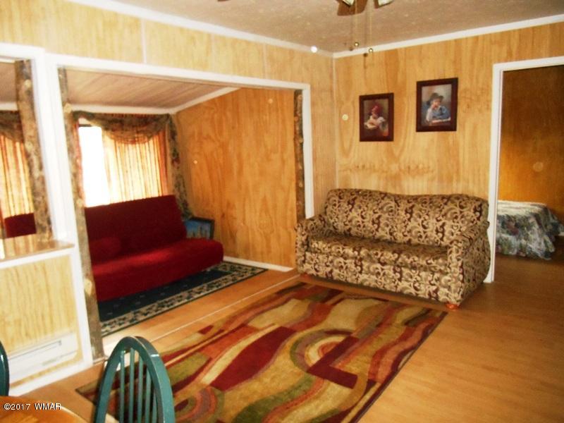 3431 Top View Road Overgaard, AZ 85933 - Photo 6 of 17