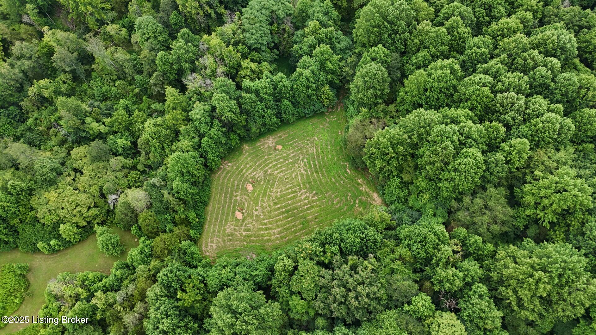DJI_20250708164350_0006_D (Large)