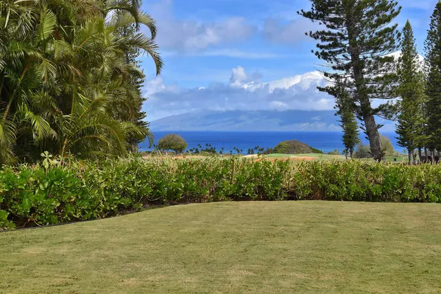 a view of a patio with table and chairs and potted plants