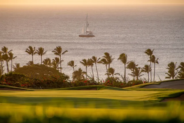 a front view of a house with yard and green space