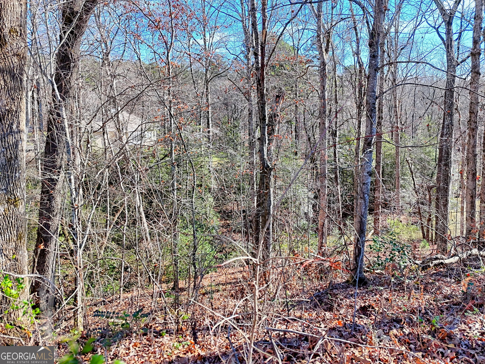 0 Rome Beauty Lane, Unit 1105 Clarkesville, GA 30523 - Photo 11 of 13 a view of a forest