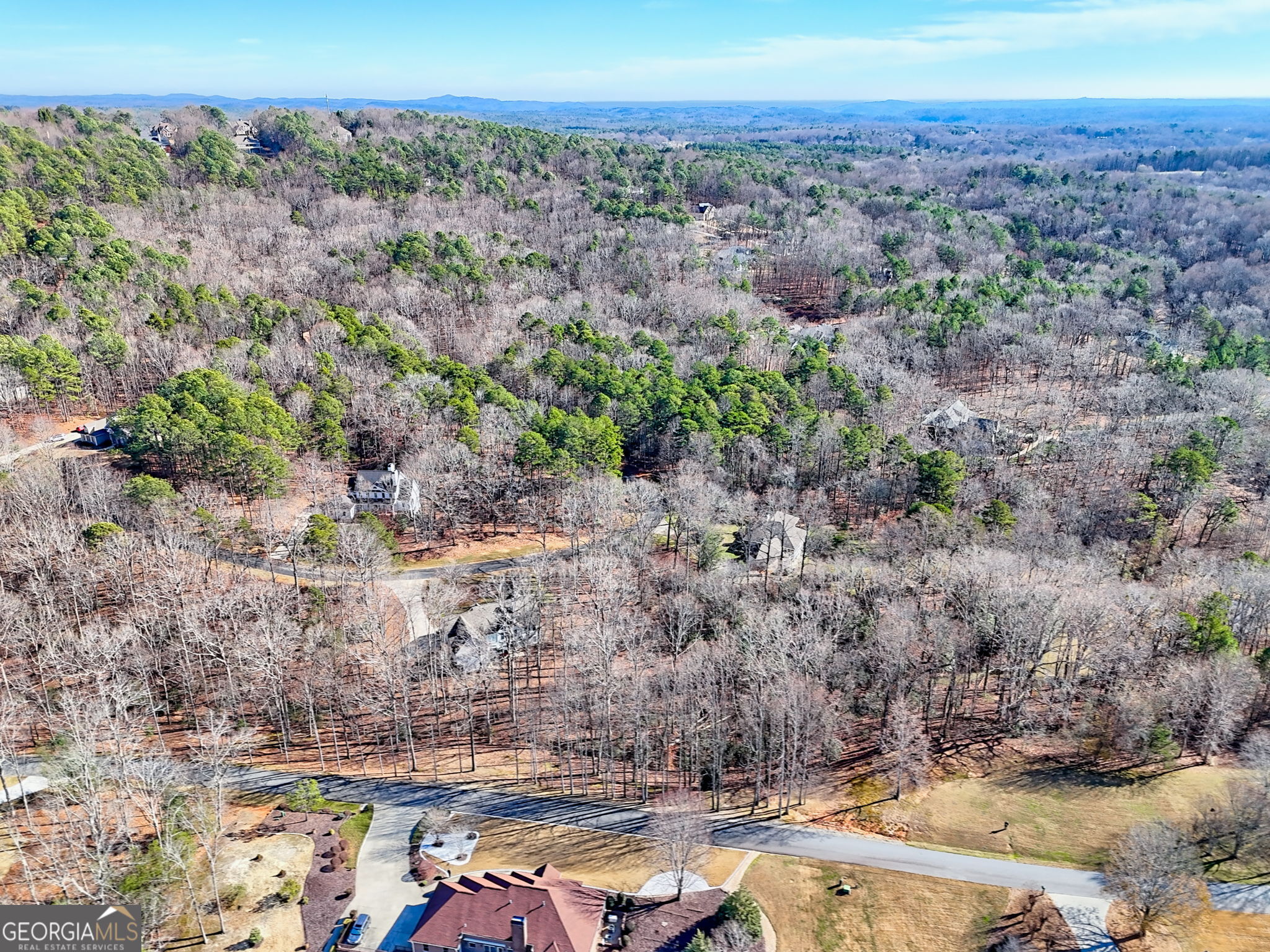 0 Rome Beauty Lane, Unit 1105 Clarkesville, GA 30523 - Photo 12 of 13 a view of a lake with a mountain