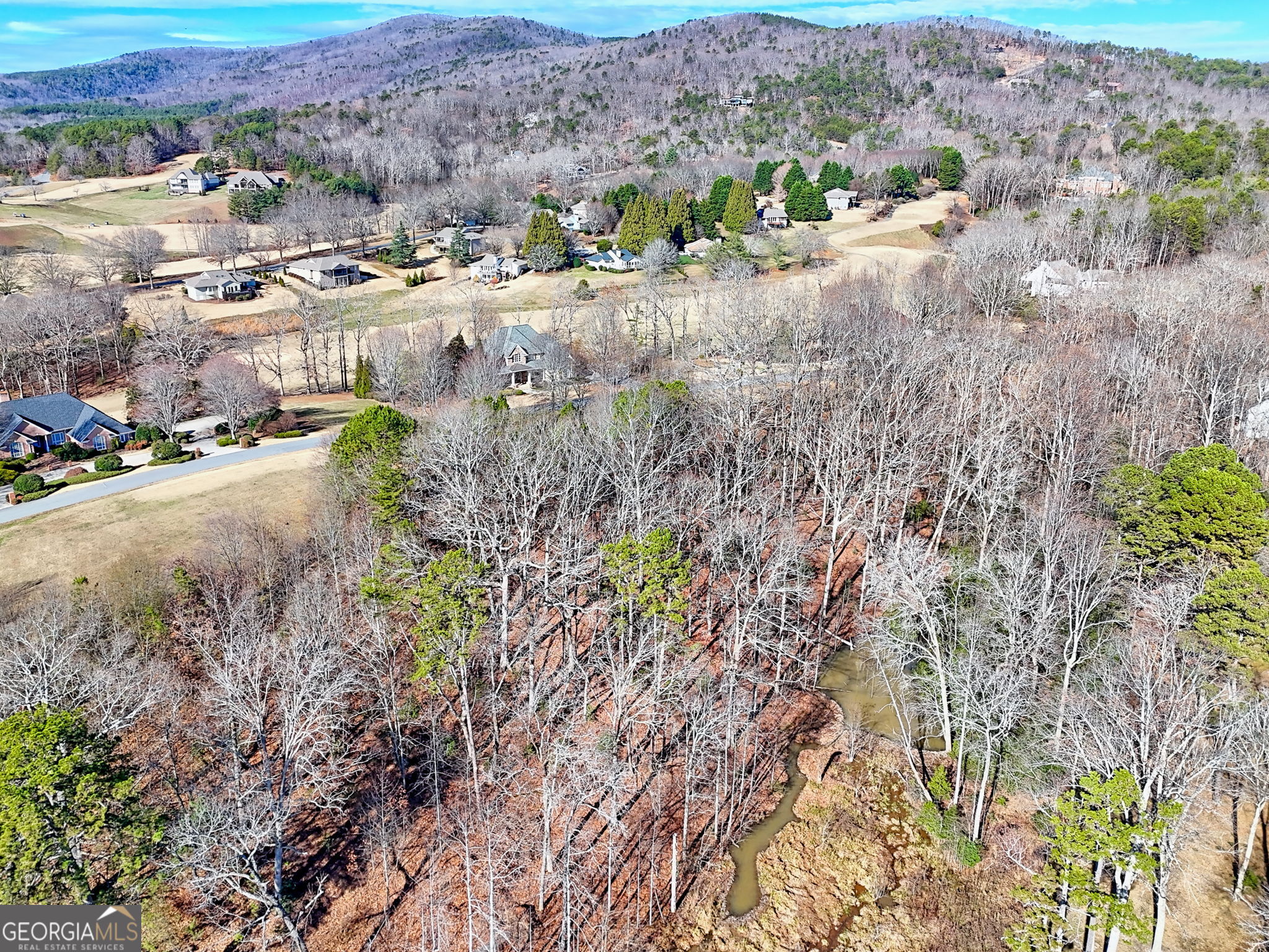 0 Rome Beauty Lane, Unit 1105 Clarkesville, GA 30523 - Photo 8 of 13 a view of a street with a houses
