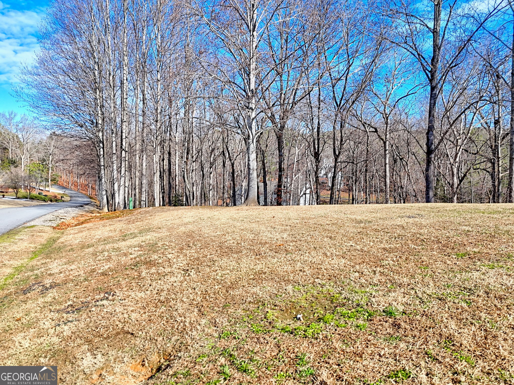 0 Rome Beauty Lane, Unit 1105 Clarkesville, GA 30523 - Photo 9 of 13 a view of road with covered with snow
