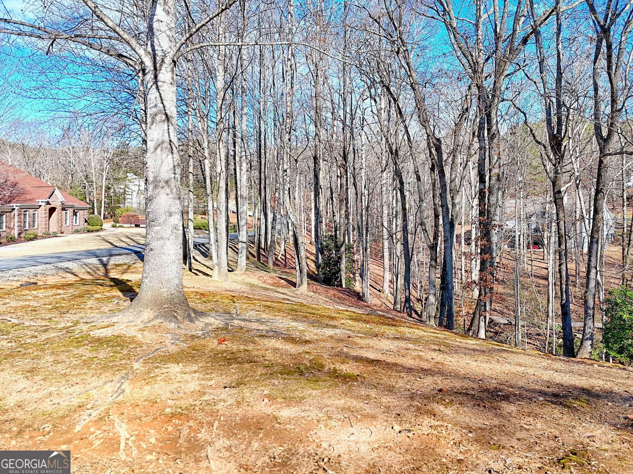 0 Rome Beauty Lane, Unit 1105 Clarkesville, GA 30523 - Photo 10 of 13