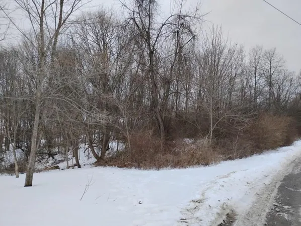 a view of snow on the road