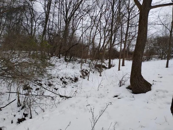 a view of a covered with snow in the background