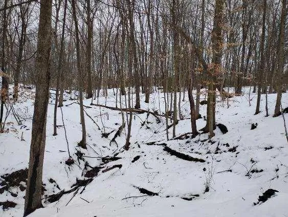 $50,000 | Lot 7 Mcauley Meadows Ln Ford, Ford City, PA 16226