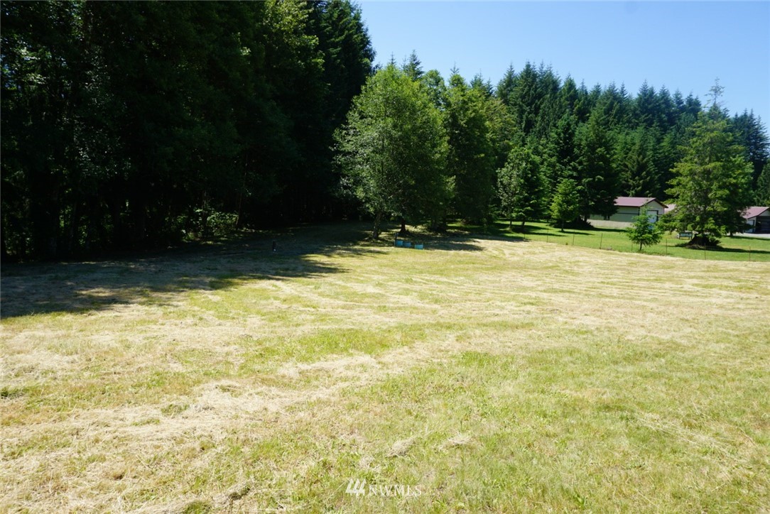 657 Falls Road, Unit 20 Randle, WA 98377 - Photo 5 of 13 Gallery Image 5