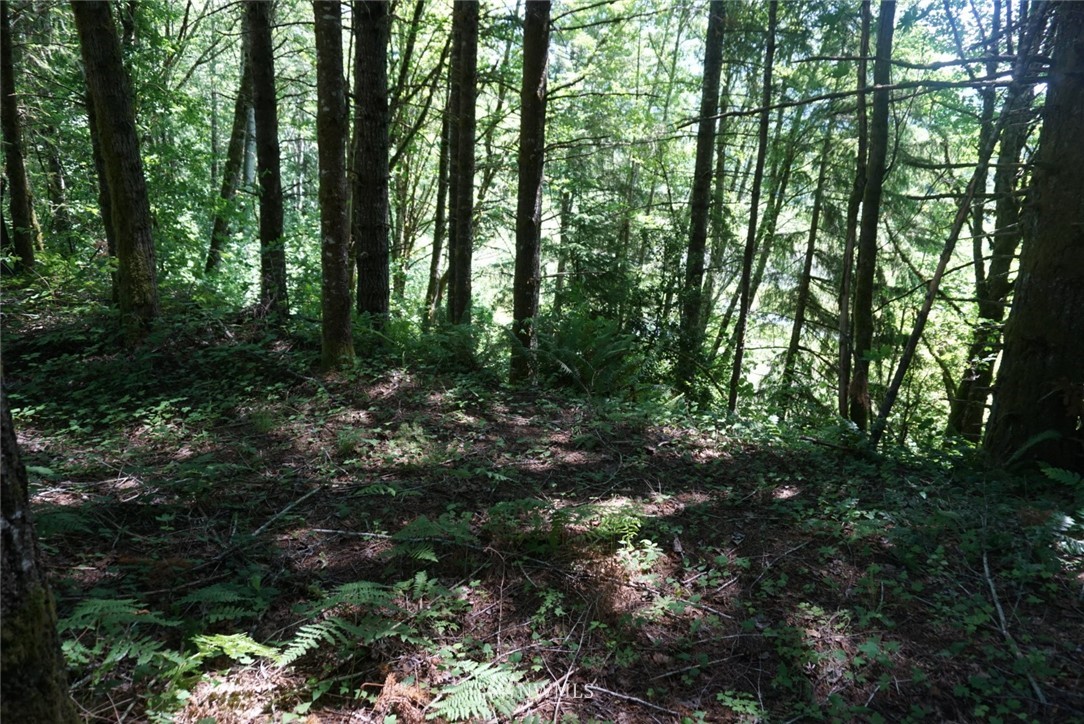 657 Falls Road, Unit 20 Randle, WA 98377 - Photo 9 of 13 Gallery Image 9