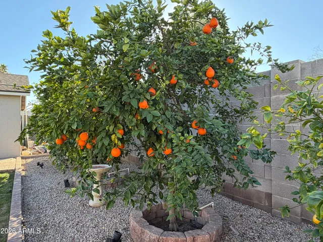 $2,150 | 4140 West Paradise Drive, Phoenix, AZ 85029