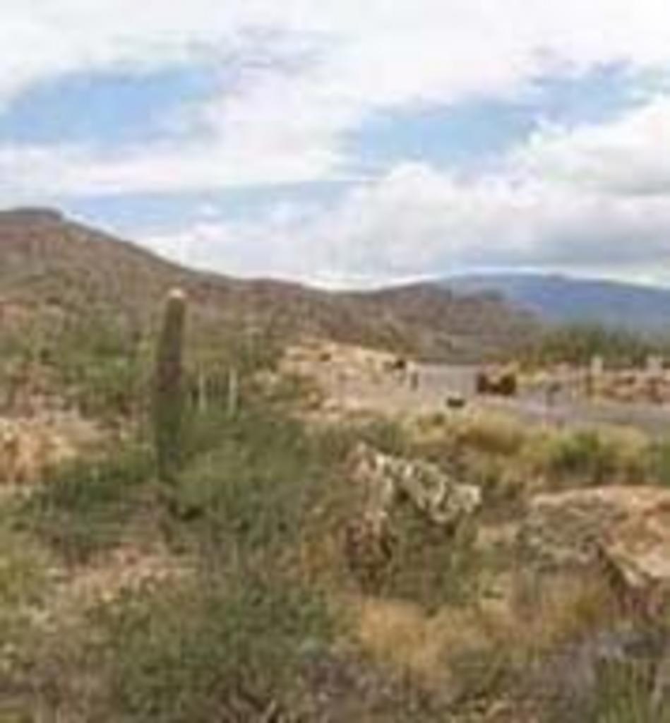 4020 Larkspur Road Tucson, AZ 85749 - Photo 3 of 4 Gallery Image 3