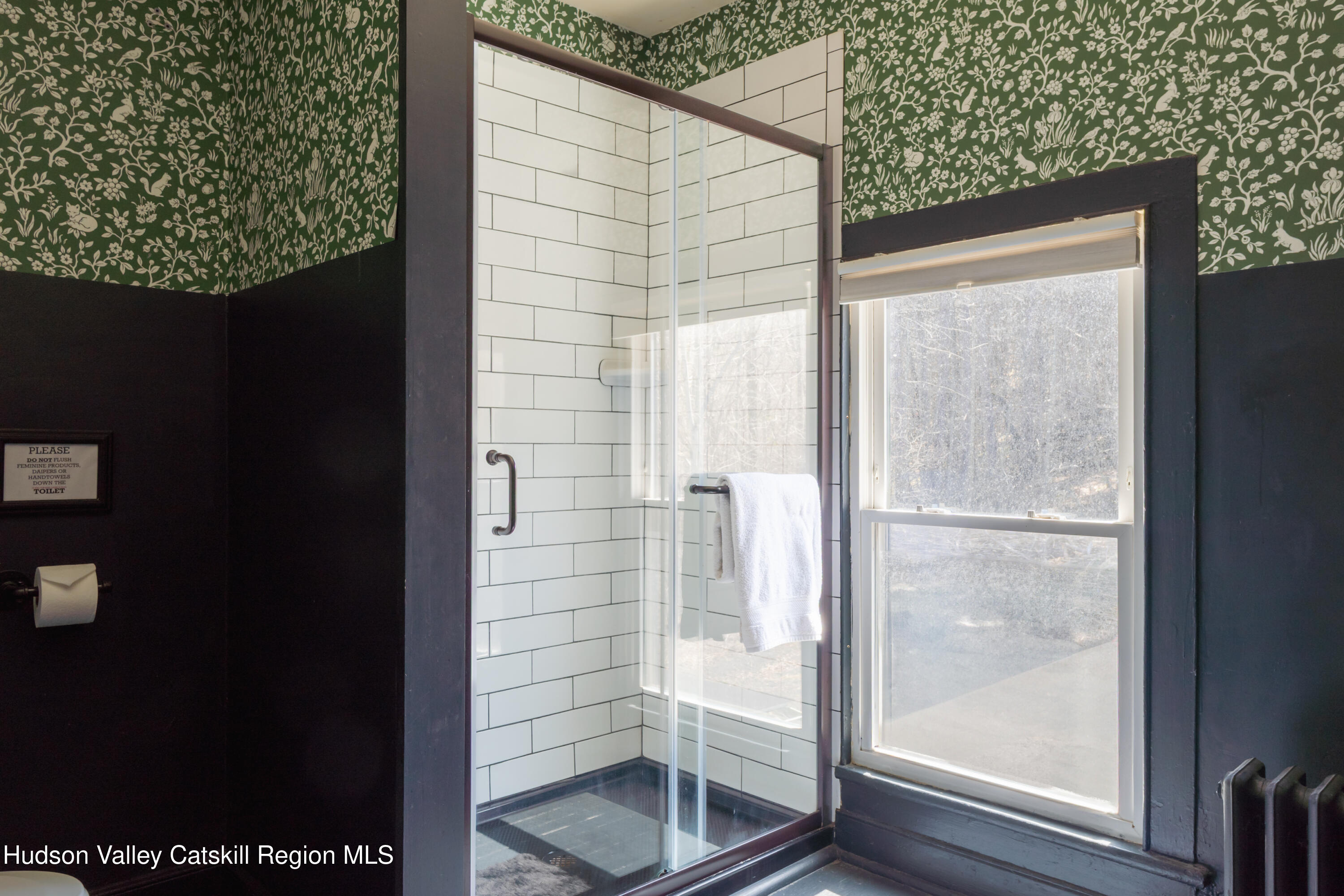 2312 Route 42 West Kill, NY 12492 - Photo 30 of 49 2312NY-42-23