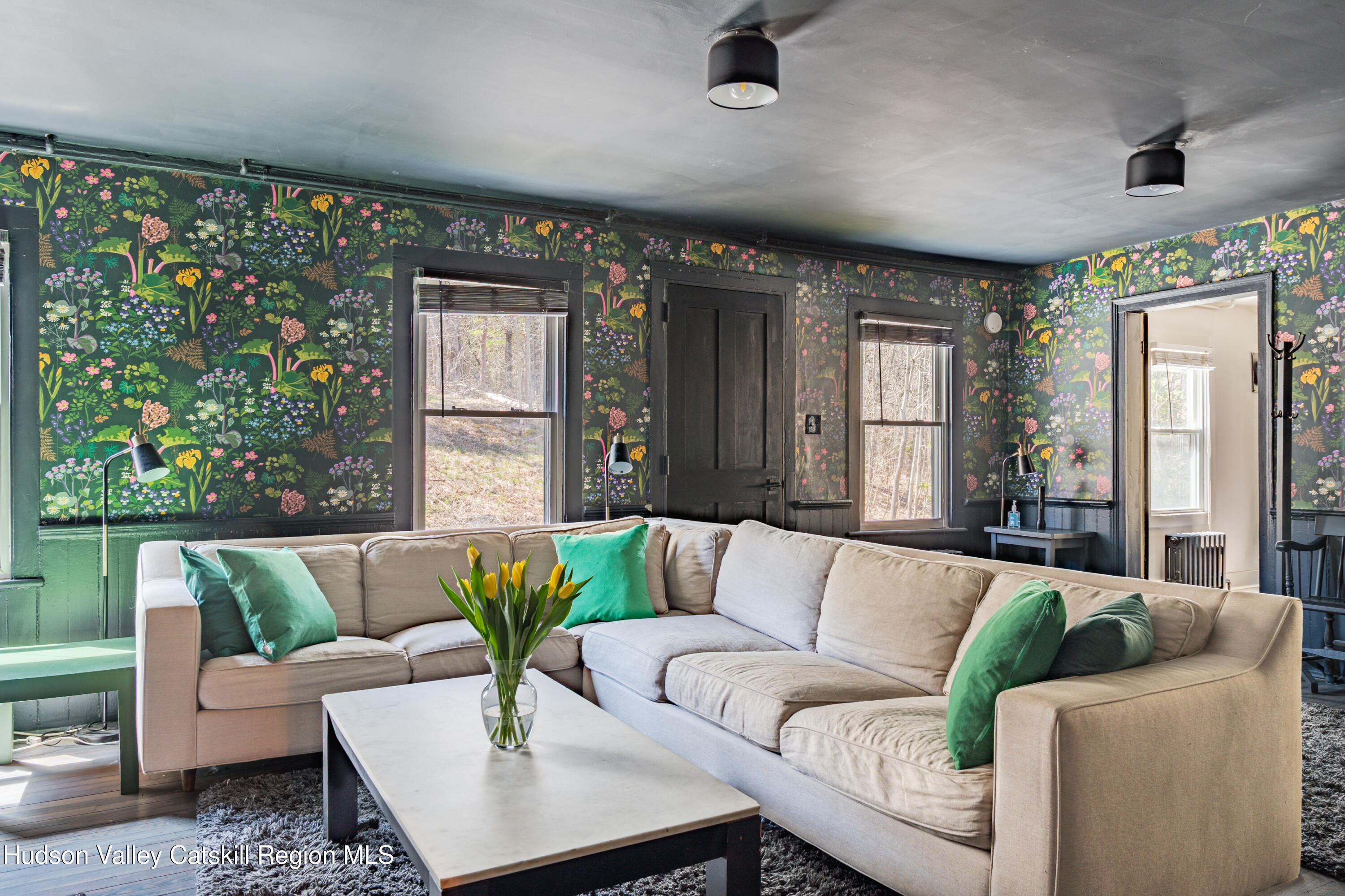 2312 Route 42 West Kill, NY 12492 - Photo 3 of 49 2312NY-42-04