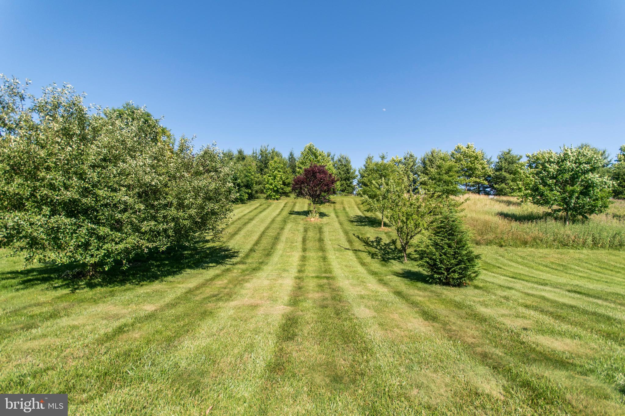 100 Meadow Run Road Bordentown, NJ 08505 - Photo 41 of 42
