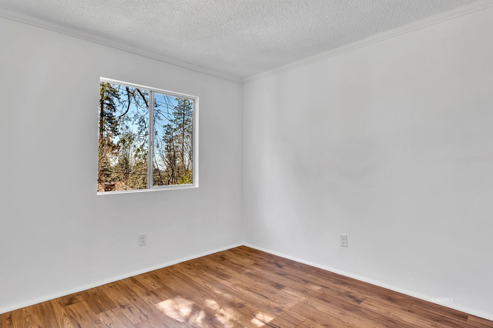 25459 Palomar Road Idyllwild, CA 92549 - Photo 34 of 51 Untitled