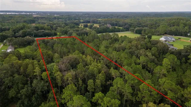 an aerial view of forest