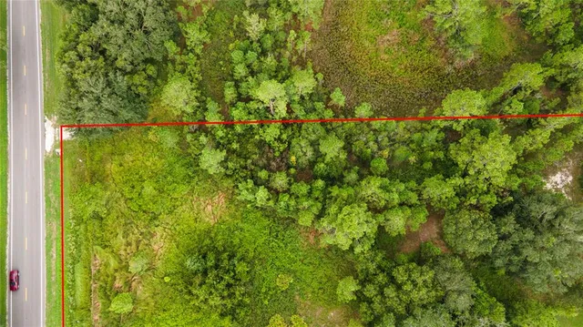 a view of a yard with plants and wooden fence