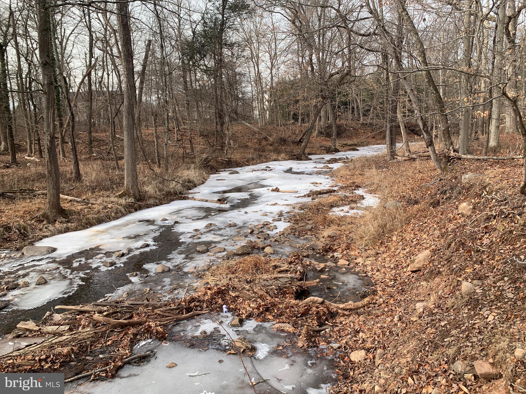 Lot 6 Taylorsville Road Washington Crossing, PA 18977 - Photo 4 of 8 a backyard of a house with trees