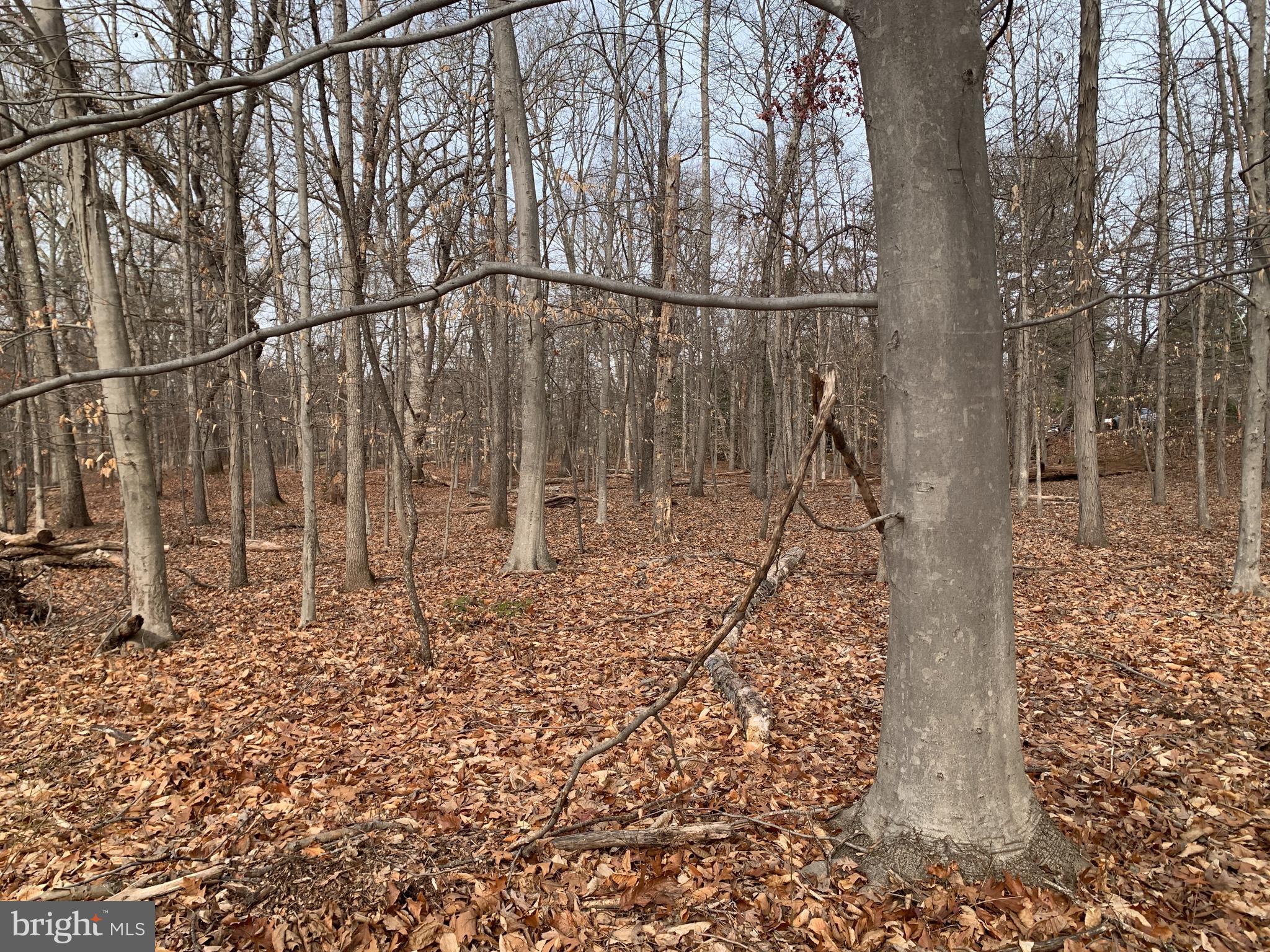 Lot 6 Taylorsville Road Washington Crossing, PA 18977 - Photo 6 of 8 a backyard of a house with lots of green space