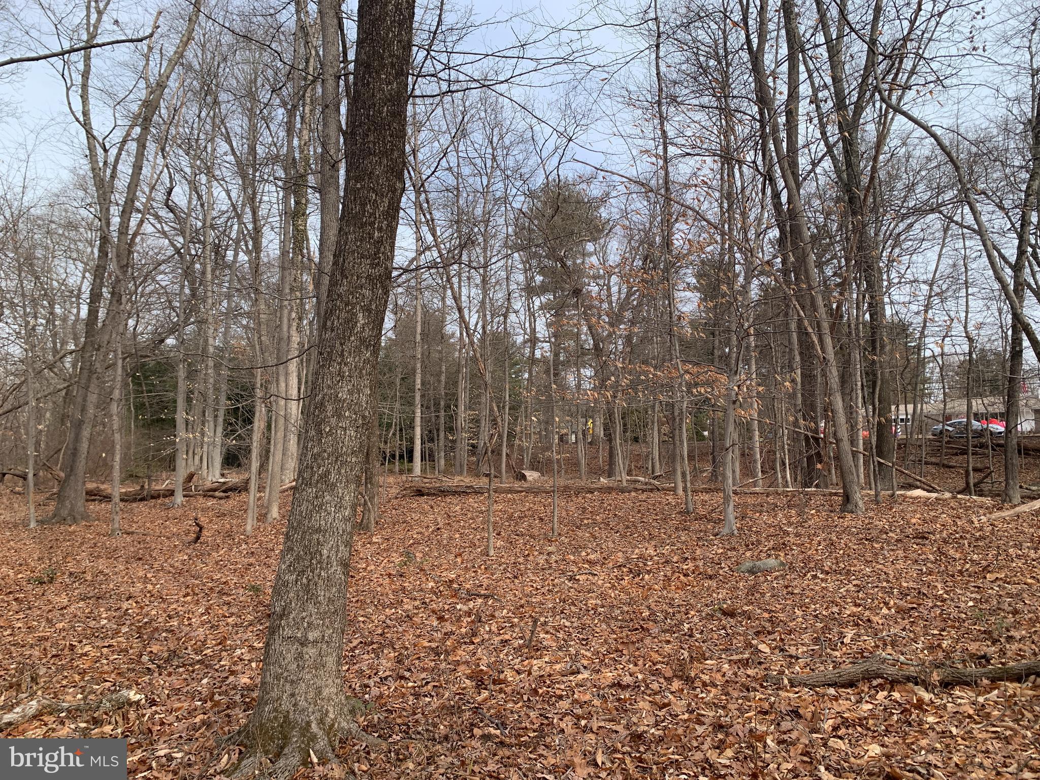 Lot 6 Taylorsville Road Washington Crossing, PA 18977 - Photo 8 of 8 a backyard of a house with lots of green space