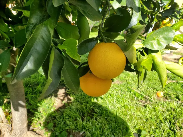 $519,150 | 1192 Cherry Lane, Calimesa, CA 92320