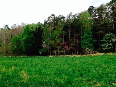 783 Camp Victory Road Somerset, KY 42501 - Photo 2 of 4 Additional Photo