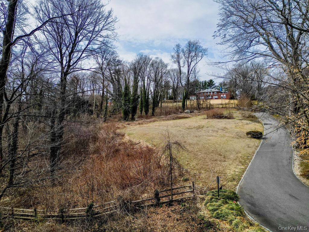 36 Pheasant Run Great Neck, NY 11024 - Photo 7 of 10 a view of a yard with trees