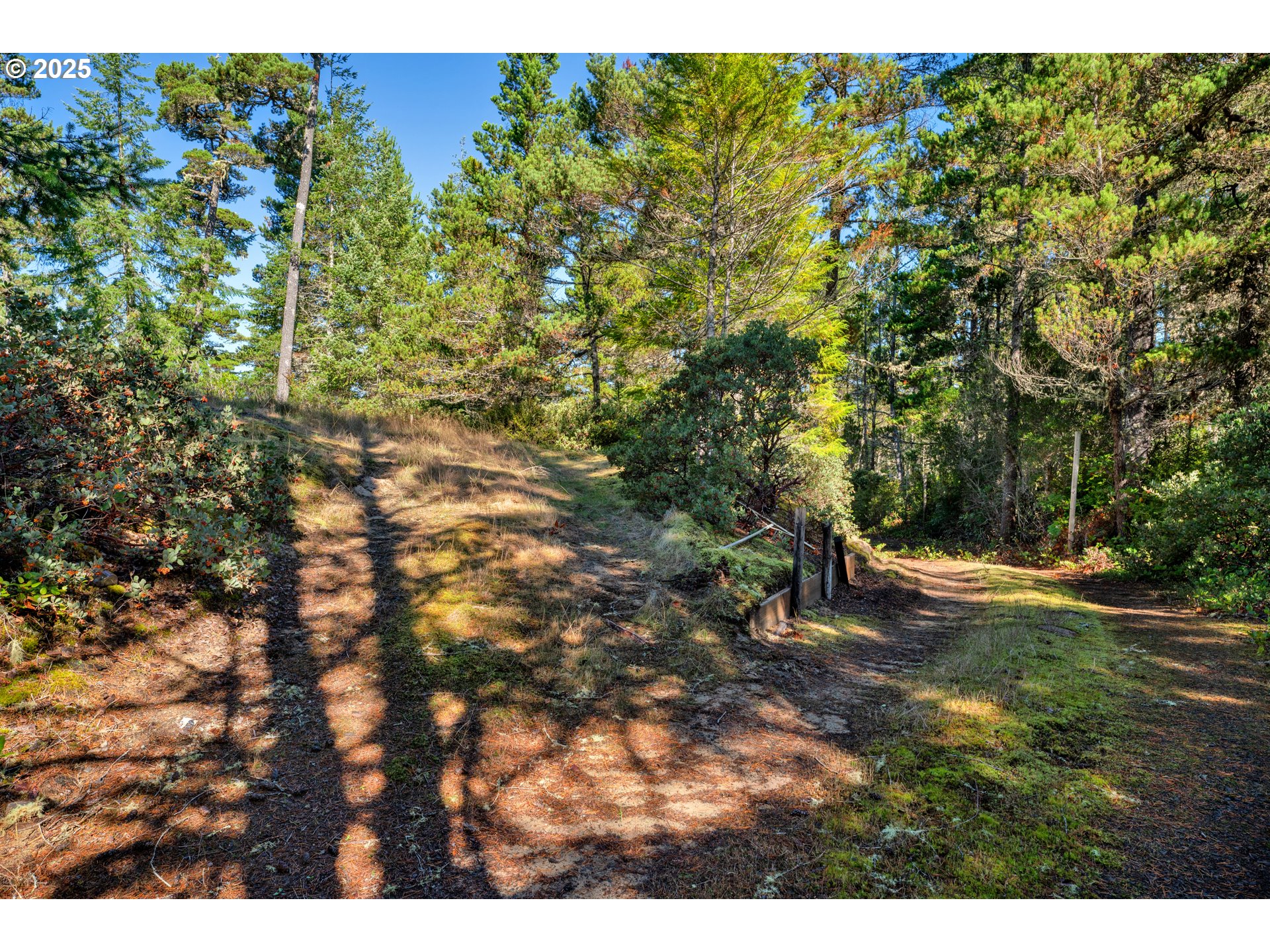 5603 Friendly Acres Road Florence, OR 97439 - Photo 38 of 45 a view of a field with trees in the background