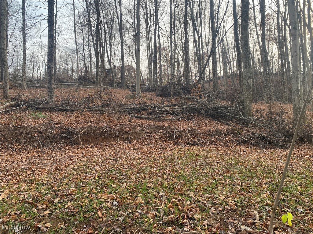 Hoot Owl Ridge Road Caldwell, OH 43724 - Photo 20 of 40 View of local wilderness